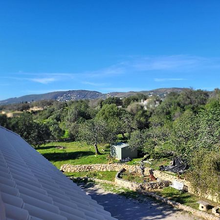 Vista Magica B&B ファロ エクステリア 写真